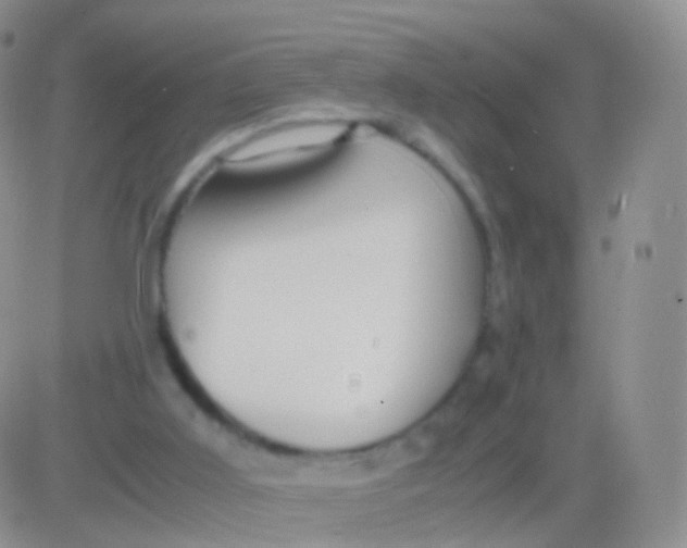 X0000083060011200702232033