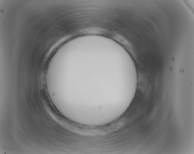 X0000083060012200702232033