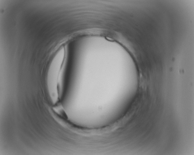 X0000083060013200702232033