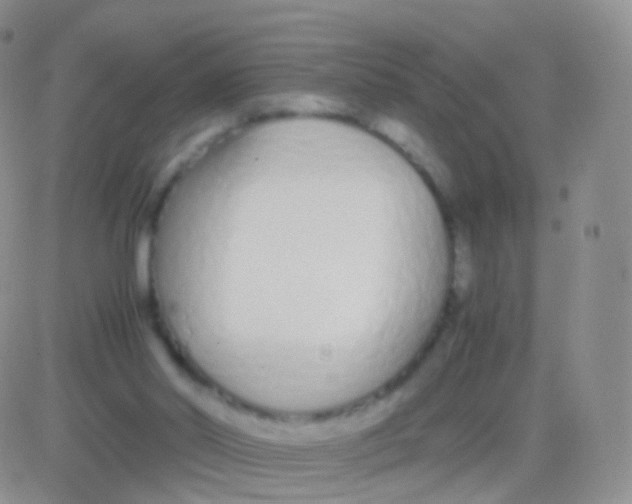 X0000083060014200702232033