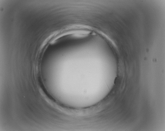 X0000083060015200702232033