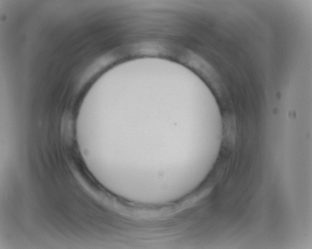 X0000083060016200702232033