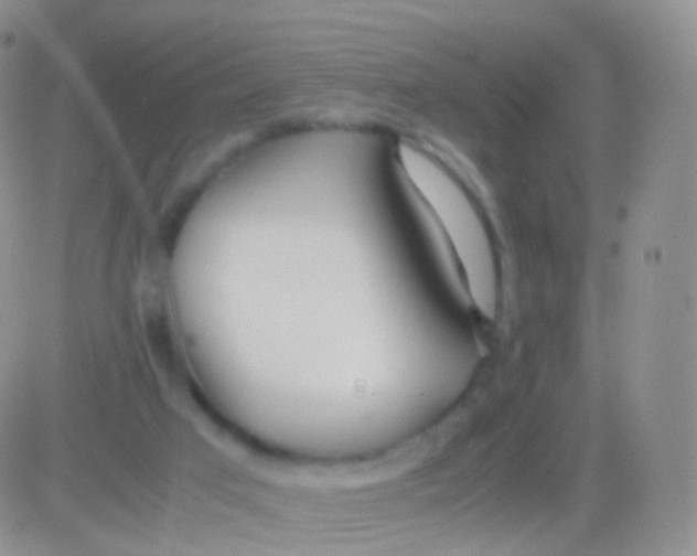 X0000083060017200702232033