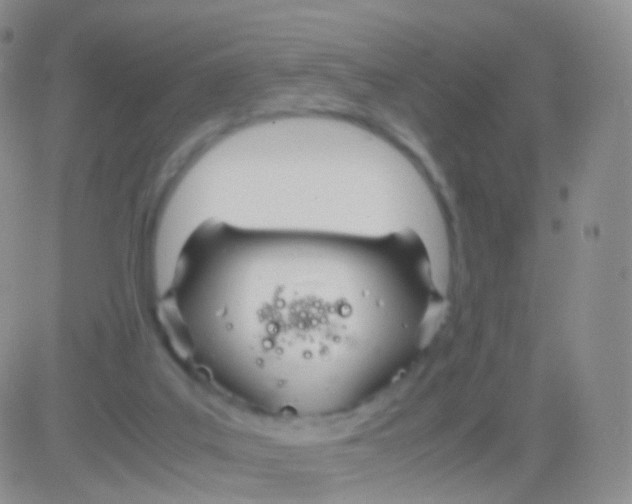 X0000083060019200702232033