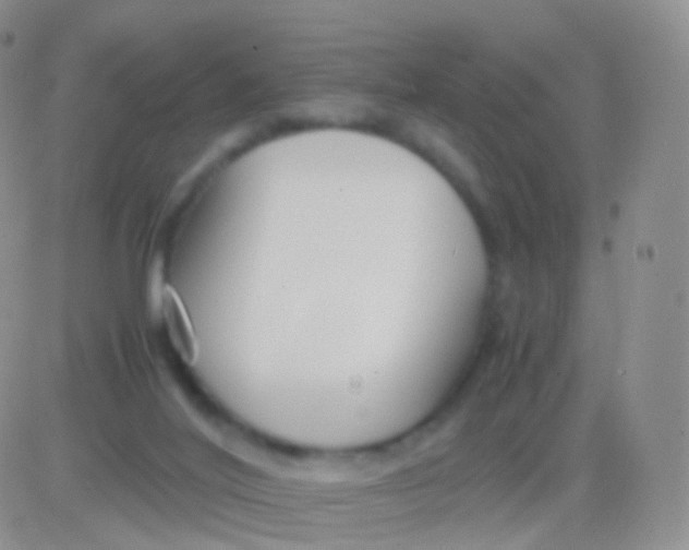 X0000083060020200702232033