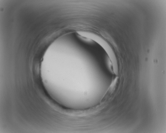 X0000083060021200702232033