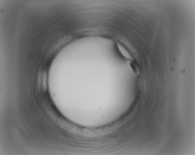 X0000083060022200702232033