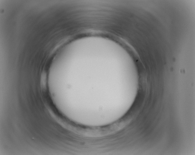 X0000083060024200702232033