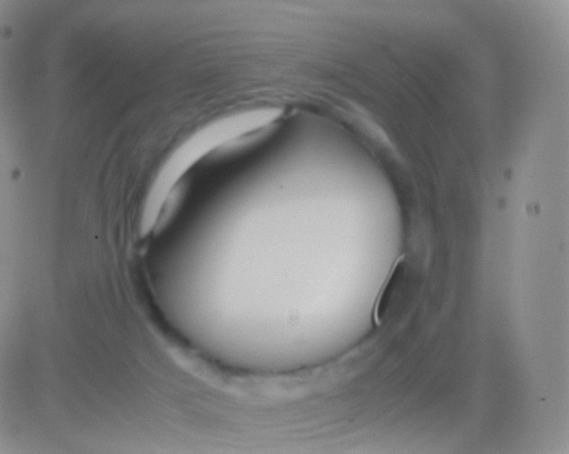 X0000083060025200702232033