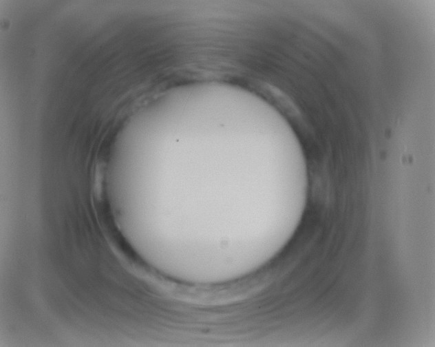 X0000083060026200702232033