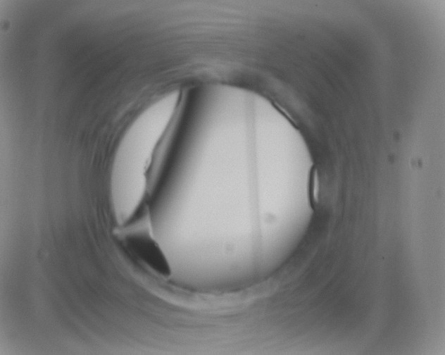 X0000083060027200702232033