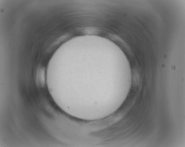 X0000083060028200702232033