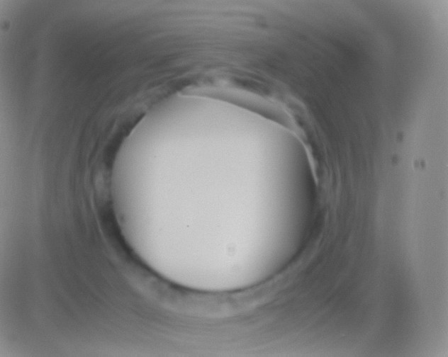 X0000083060029200702232033