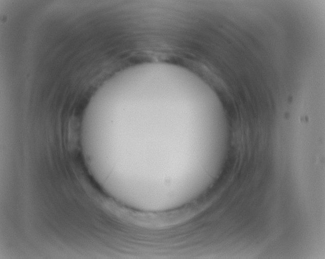 X0000083060030200702232033