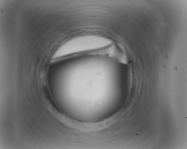 X0000083060031200702232032