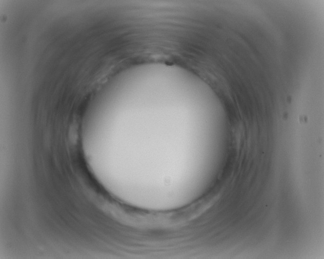 X0000083060032200702232032