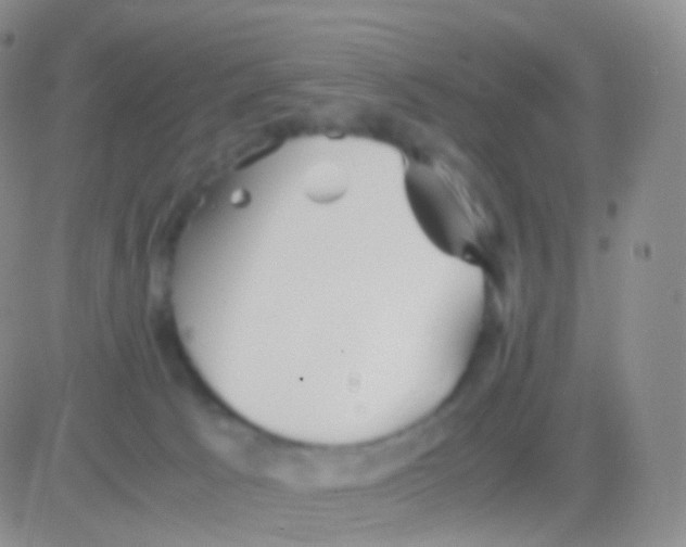 X0000083060033200702232032