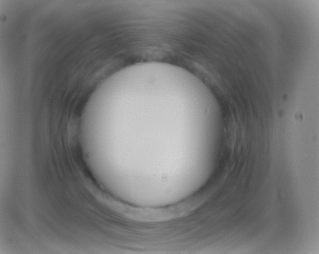 X0000083060034200702232032