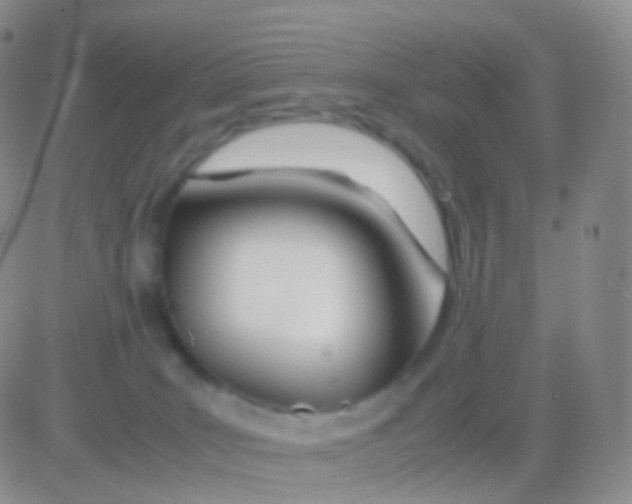 X0000083060035200702232032