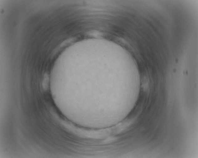 X0000083060036200702232032