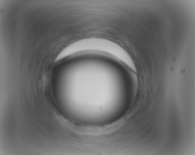 X0000083060037200702232032