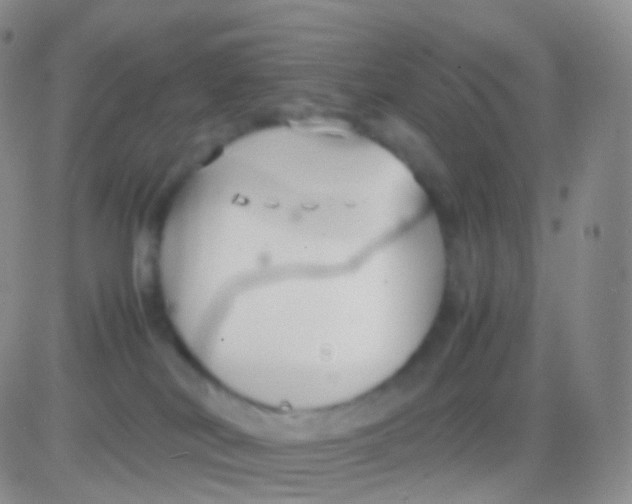 X0000083060038200702232032