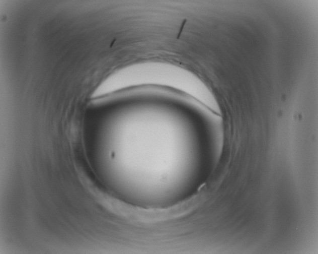 X0000083060039200702232032