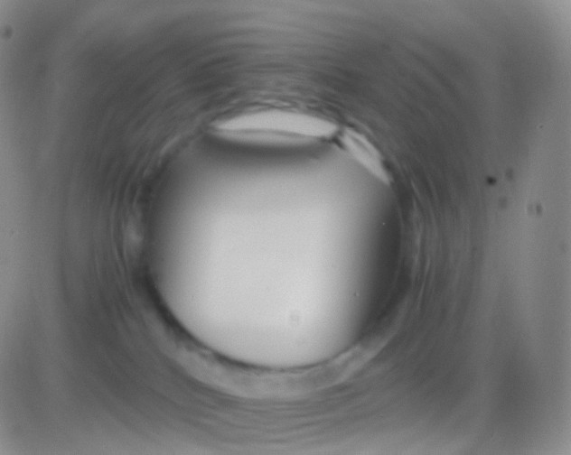 X0000083060040200702232032