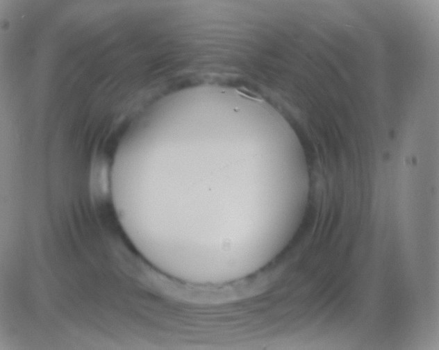 X0000083060042200702232032