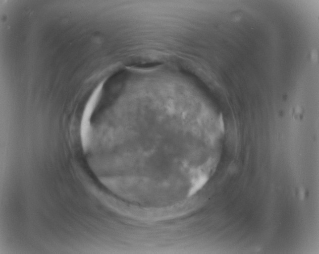 X0000083060043200702232032