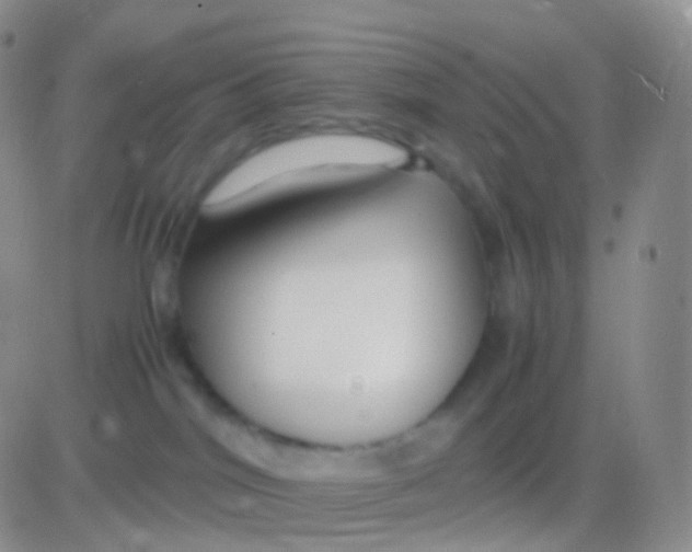 X0000083060044200702232032