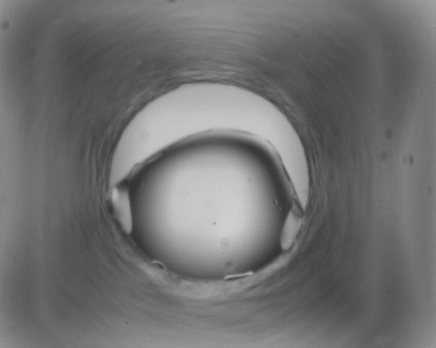 X0000083060045200702232032