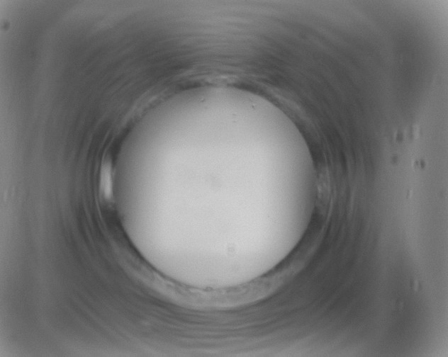 X0000083060046200702232032