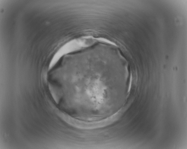 X0000083060047200702232032