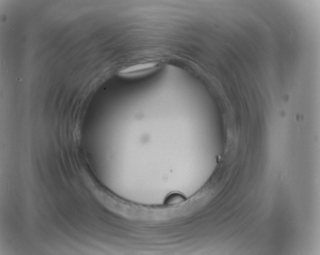 X0000083060048200702232032