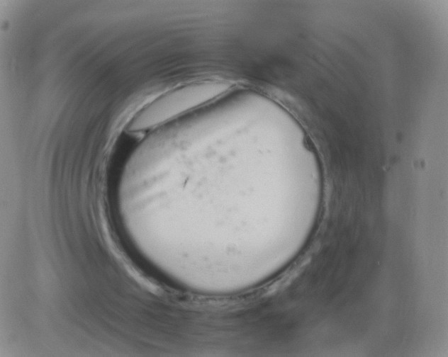 X0000083060049200702232031