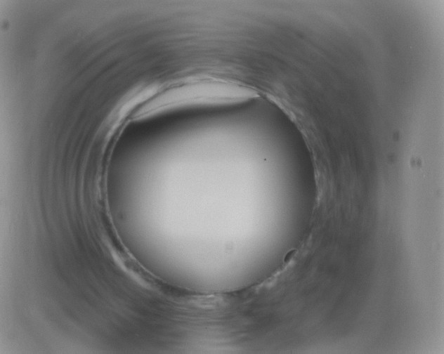 X0000083060050200702232031