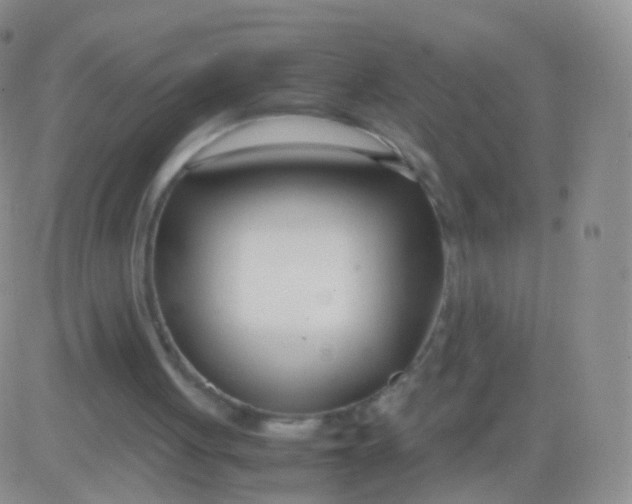 X0000083060051200702232031