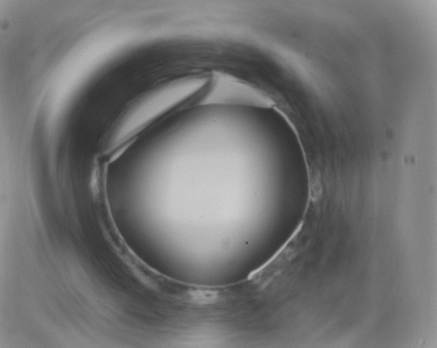 X0000083060052200702232031