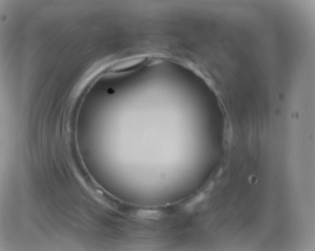 X0000083060055200702232032