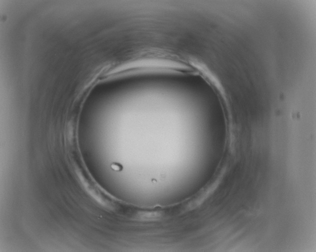 X0000083060057200702232032