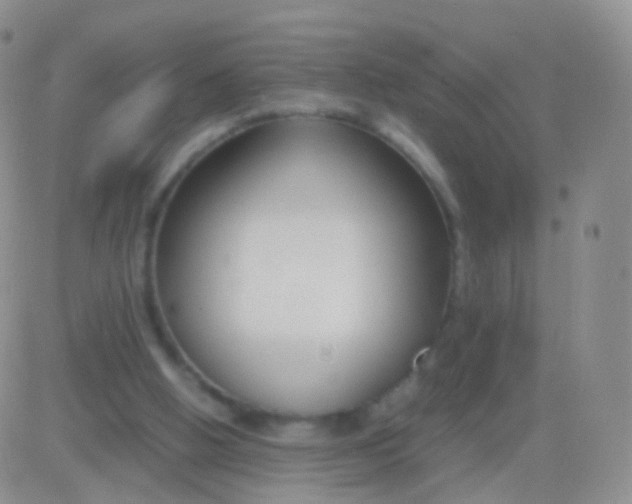 X0000083060058200702232032