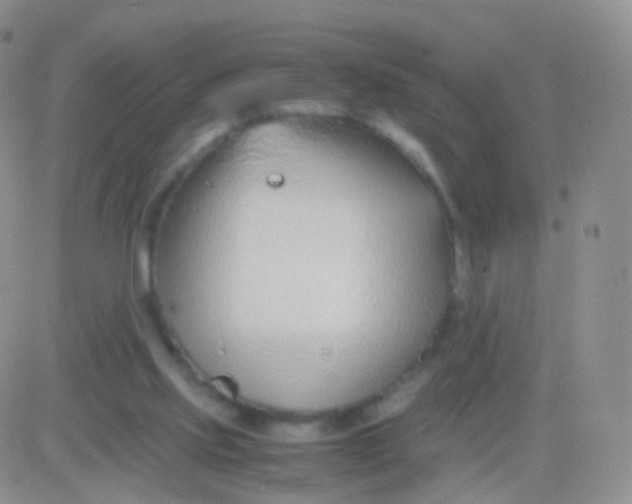 X0000083060061200702232032