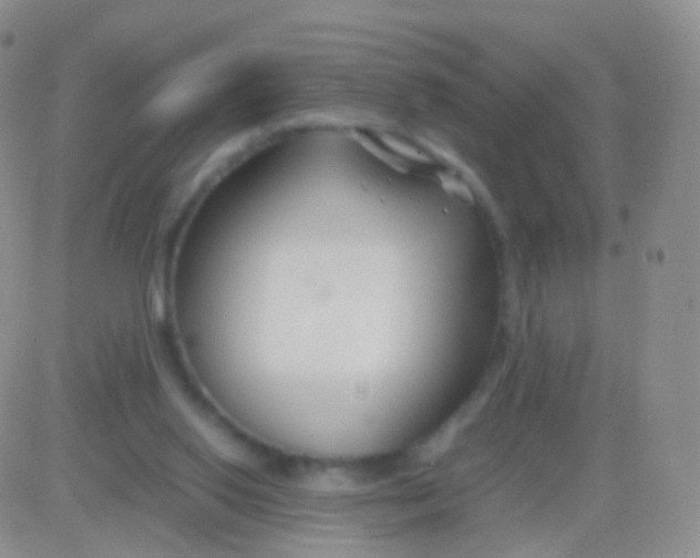 X0000083060062200702232032