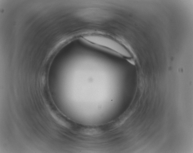 X0000083060063200702232032