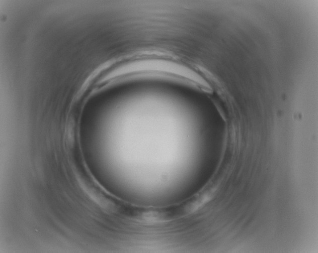 X0000083060064200702232032