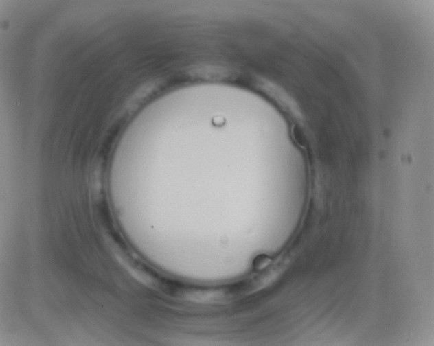 X0000083060065200702232032