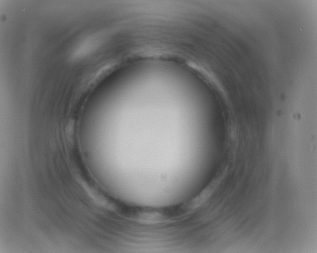 X0000083060066200702232032