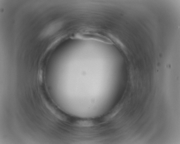 X0000083060067200702232032