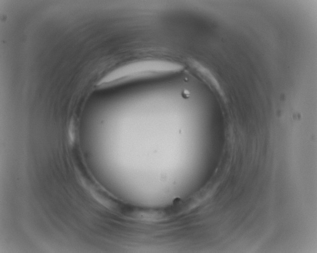 X0000083060069200702232032